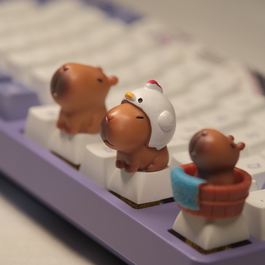 Keyboard Tray Under Desk - Cute Capybara Keycaps XDA Profile ABS
